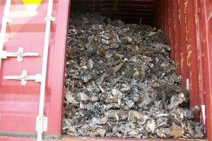 shredded steel scrap