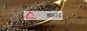 Mustard Seeds