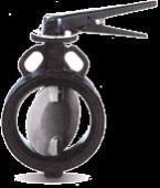 Lined Butterfly Valve