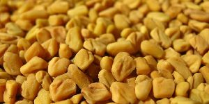 Fenugreek Seeds