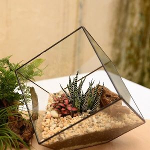 Inclined Cube Terrarium