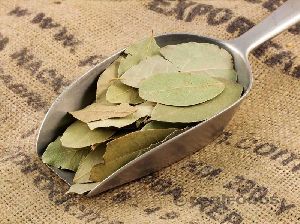 Bay Leaves