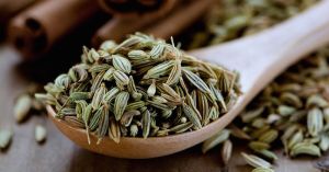 Fennel Seeds