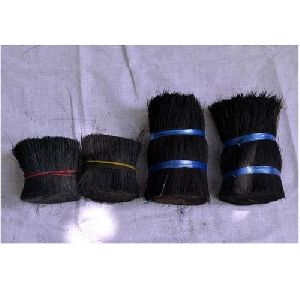 Black Coir Bristles