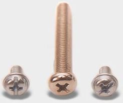 Brass Screws