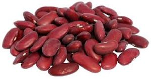 Red Kidney Beans