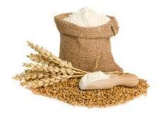 Whole Wheat Flour