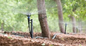 Micro Sprinkler System