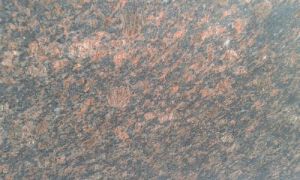 Tan Brown Granite Slabs