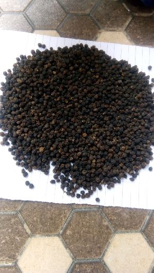 Black Pepper Seeds