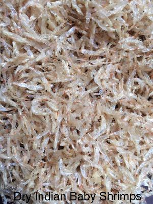 Indian Dried Baby Shrimps