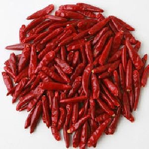 guntur chilli