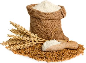 Ukraine Origin Wheat Flour