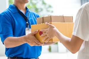 Domestic Courier Services