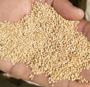 Quinoa Seeds