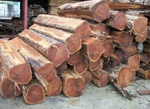 Sudan Teak Logs / Sizes wooden