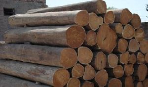 Tanzania Teak Logs wooden