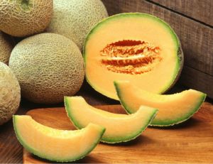 Fresh Muskmelon