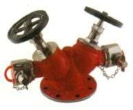 Double Controlled valve