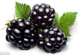 fresh blackberry