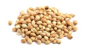 Coriander Seeds