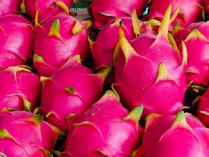 Fresh Dragon Fruit