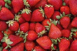 Fresh Strawberry