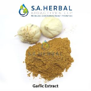 Allium Sativum Extract