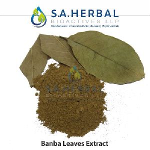 Banaba Leaves Extract