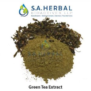 Camellia Sinensis Extract