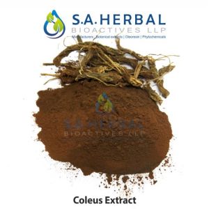 Coleus Forskohlii Extract