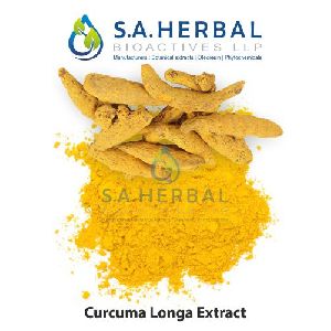 Curcuma Longa Extract