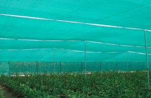 Agro Shade Net