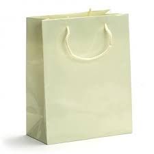 Laminated Paper Shopping Bags