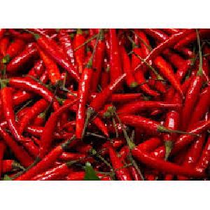 Fresh Red Chilli