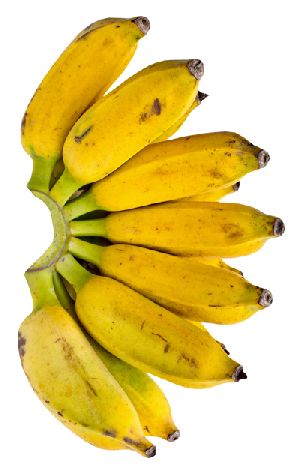 mountain banana