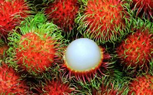 Rambutan Fruit