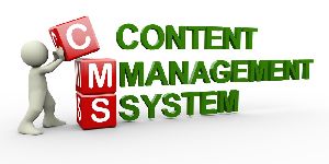 Content Management Software Services