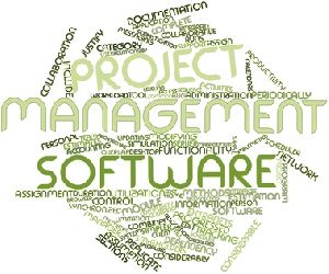 Project Management Software Development Services