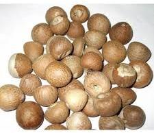 areca nut