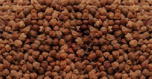 Red ChickPeas