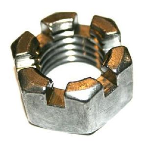 Stainless Steel Slotted Nuts