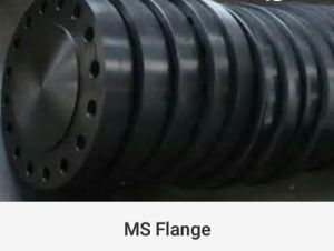 Asa 600 Class BLRF Flanges