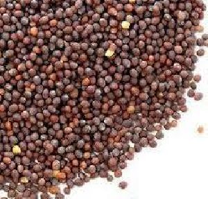 Mustard Seeds