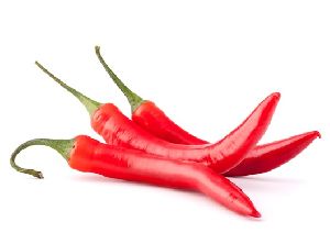 Fresh Red Chilli