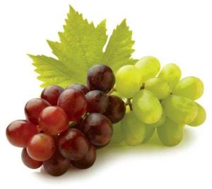 Fresh Grapes