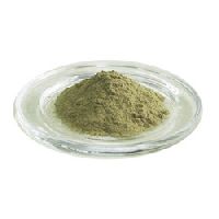 Eclipta Prostrata Extract