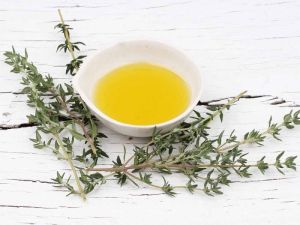 Thyme Oil