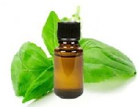 Tulsi Oil