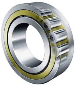 Cylindrical Roller Bearings